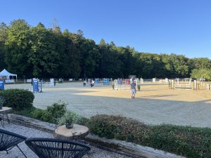 IMG_8749